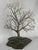 1978 Silver Plated Tree Sculpture on Slate Base For Sale - Image 4 of 8