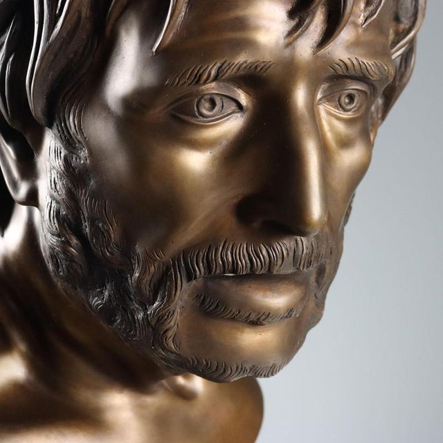 Seneca Bust in Bronze For Sale - Image 3 of 9