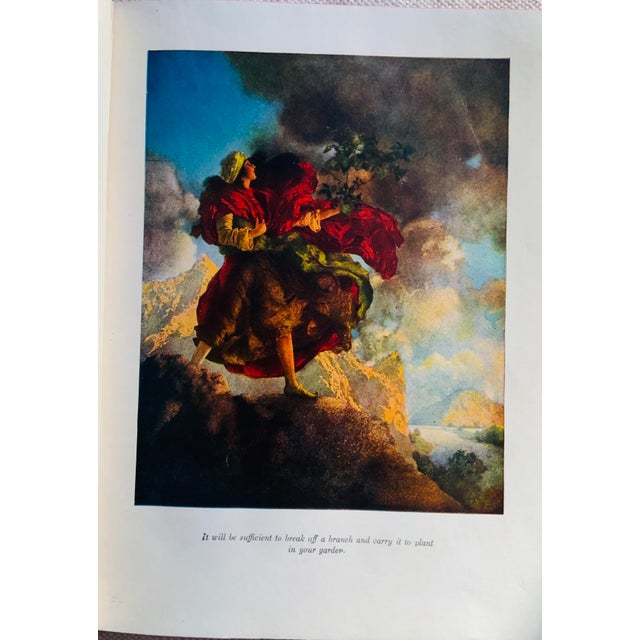 1940s The Arabian Nights: Their Best-Known Tales — Maxfield Parrish For Sale - Image 5 of 18