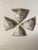 Murano Glass Wall Lamps from La Murrina, 1970, Set of 16 For Sale - Image 13 of 14
