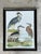 Cream Vintage Audubon Print of Three Birds For Sale - Image 8 of 12