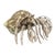 Hermit Crab Paperweight For Sale