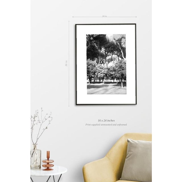 Fine art Giclee prints on Hahnemuhle Photo Rag 308gsm - a 100% cotton, acid-free, mould-made paper. Printed to Fine Art...
