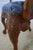 Set of 8 Maitland Smith Mahogany Dining Chairs For Sale - Image 11 of 18