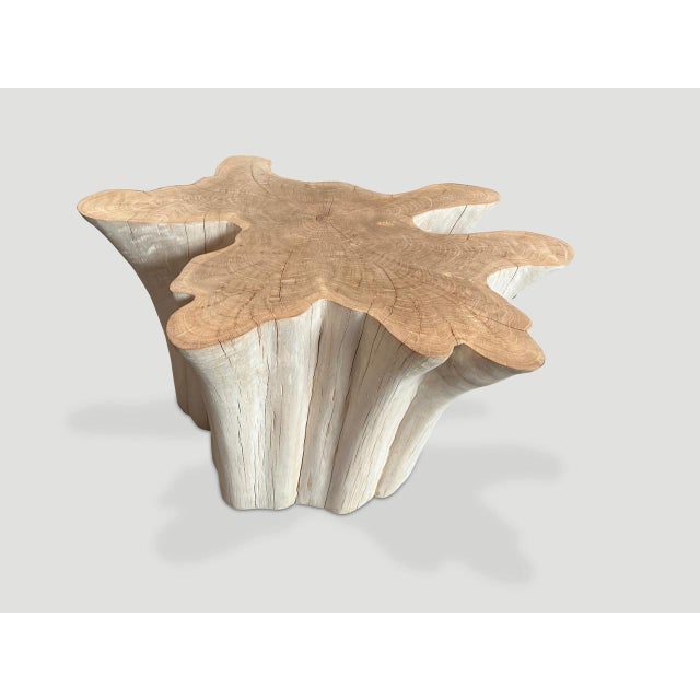 Andrianna Shamaris Amorphous Bleached Teak Wood Table For Sale In New York - Image 6 of 6