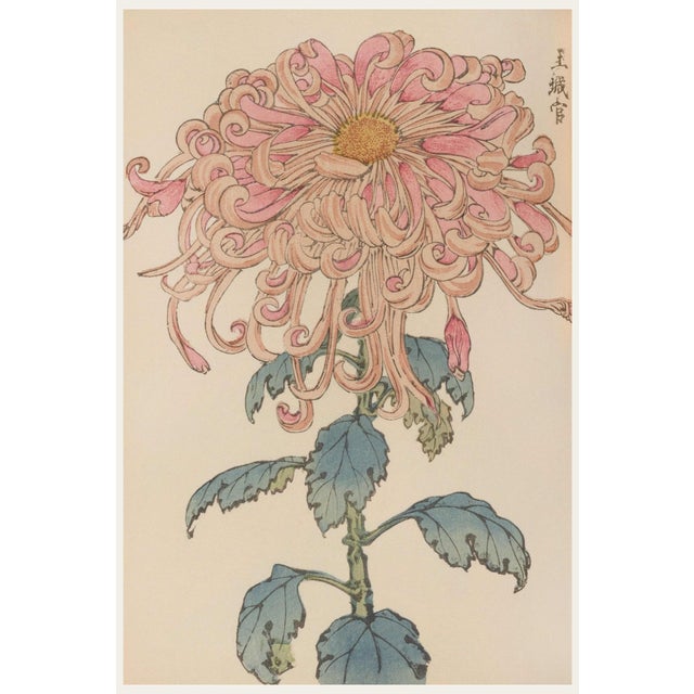 Pink Floral Giclee, Vintage Japanese Botanical Art Print, 12" X 18" For Sale