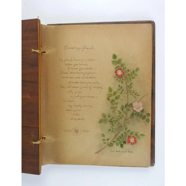 1930's Chicago Guest Book With Over 20 Botanical Paintings For Sale In Seattle - Image 6 of 9