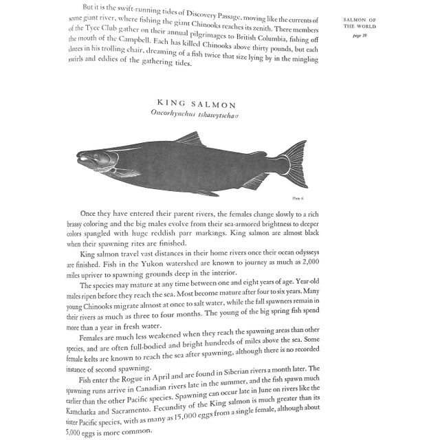 Paper "Salmon of the World" 1970 Schwiebert, Ernest For Sale - Image 7 of 13