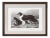 Cassell Dogs; Sheep Dogs, Framed Artwork For Sale