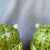 Vintage Hollywood Regency Pink & Green Salt & Pepper Shakers- a Pair For Sale In Orlando - Image 6 of 11