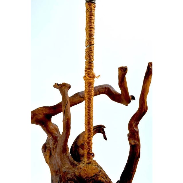 Sculptural Driftwood Lamps - a Pair For Sale - Image 9 of 11