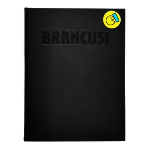 1985 Delicatesse De Constantin Brancusi Art Album Hardcover Book Sidney Geist