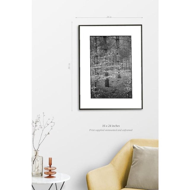 Fine art Giclee prints on Hahnemuhle Photo Rag 308gsm - a 100% cotton, acid-free, mould-made paper. Printed to Fine Art...