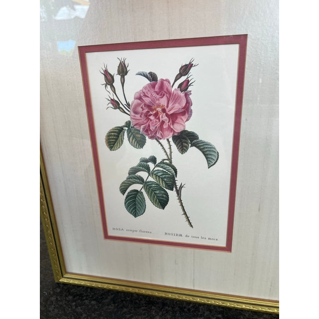 Pair of Vintage Framed Pink Roses by Pierre-Joseph Redouté Reproduction For Sale - Image 4 of 7