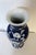 Blue Cobalt Blue and White Vintage Prunus Balaster Form Vase For Sale - Image 8 of 10