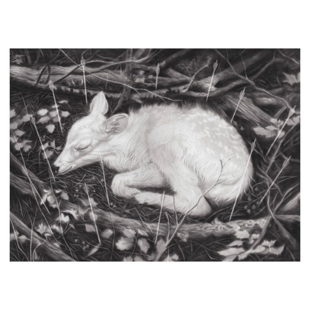 This artwork depicts a serene, sleeping fawn nestled among twigs and foliage, creating an intimate connection with nature....
