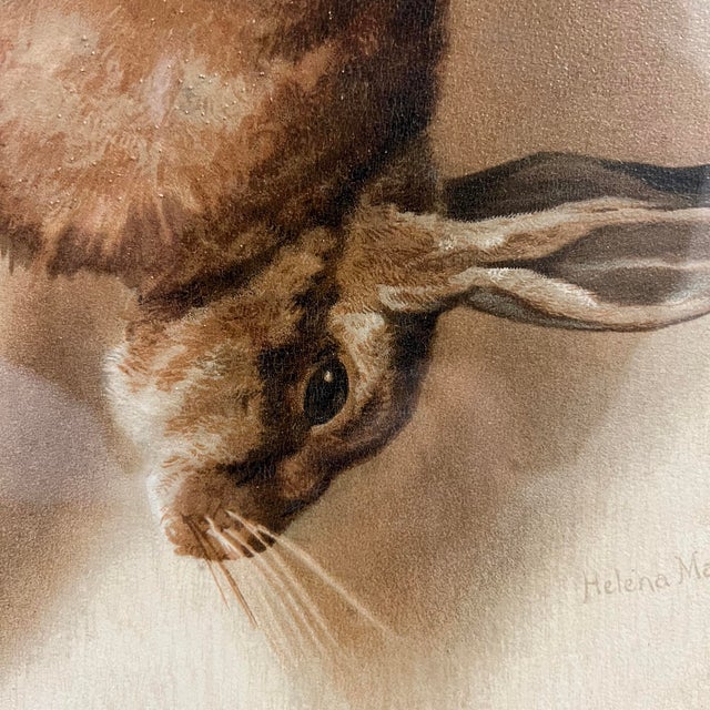 Set of Four 19th Century English Framed Hunt Trophy Lithographs For Sale - Image 9 of 18