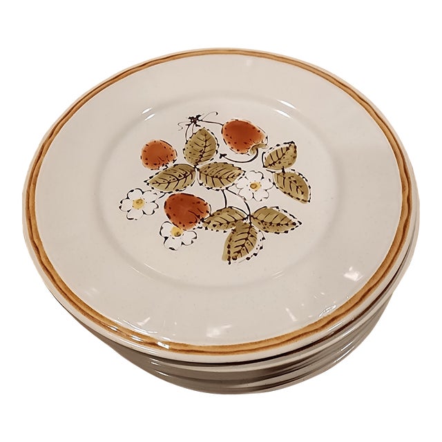 Americana Hearthside Stoneware Dinner Plates For Sale