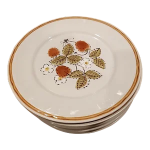 Americana Hearthside Stoneware Dinner Plates
