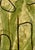Moss Studies I-Iv by Murray Duncan, Mix Media on Paper, Set of 4. For Sale - Image 4 of 6