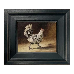 Black and White Chicken 5x6" Print on Canvas in Distressed Black Wood Frame
