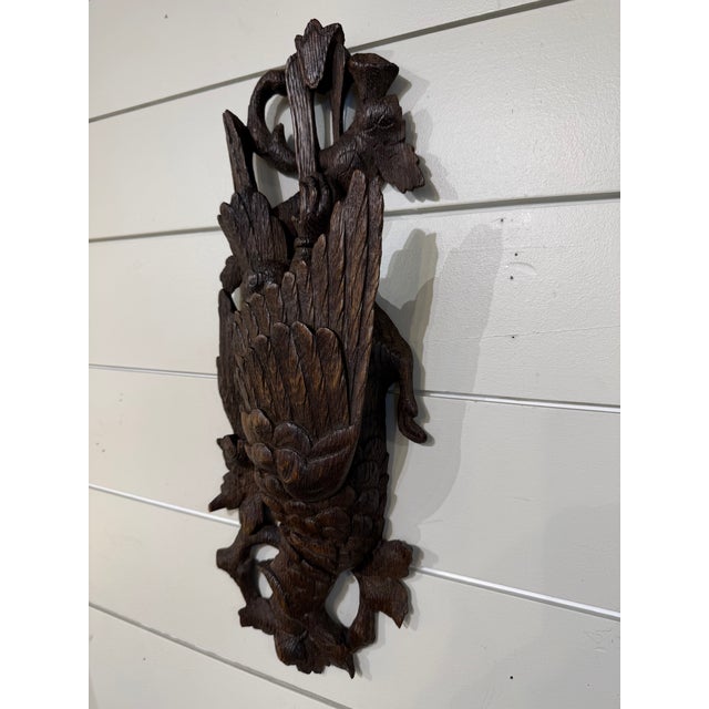 19th Century 19th Century Black Forest Plaque Bird Motif For Sale - Image 5 of 7
