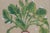 Antique Trio of Framed Double-Print Renaissance Botanical Wall Art For Sale - Image 12 of 18