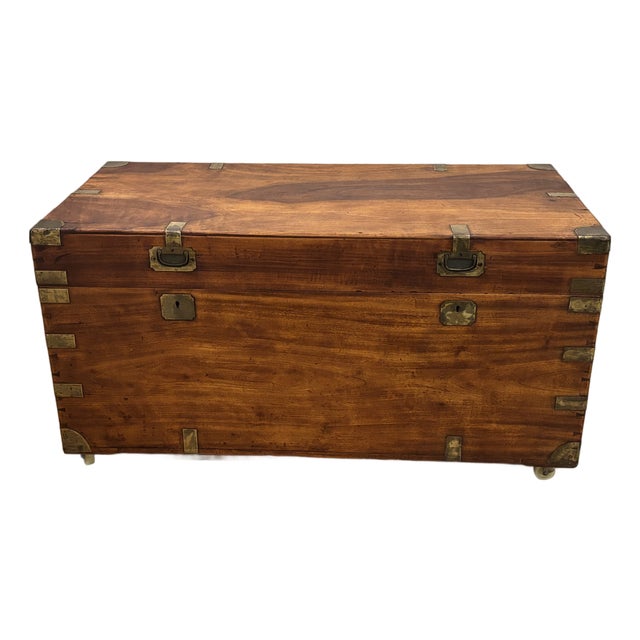 Large 19th Century British Campaign Trunk in Brass Bound Camphor Wood For Sale