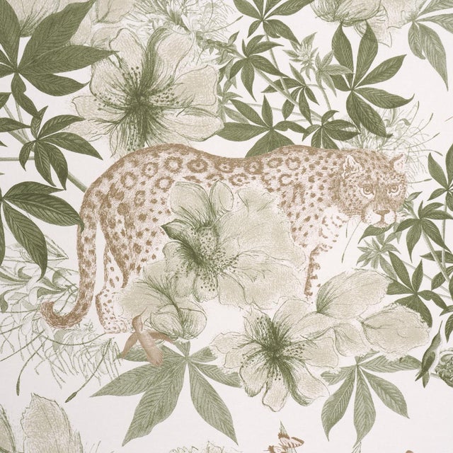 French Schumacher X Katie Lydon Nocturnum Wallpaper In Ivory & Olive For Sale - Image 3 of 5