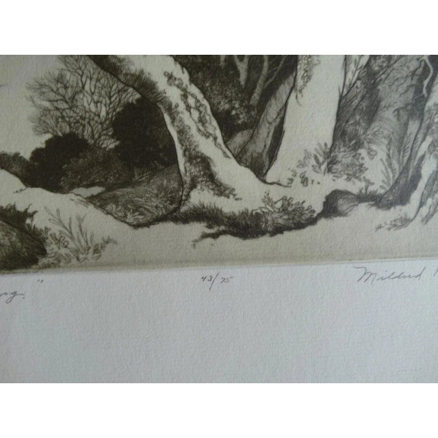 1930s Mildred Bryant Brooks "The Promise of Spring" Etching For Sale - Image 5 of 7