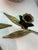 Mid-Century Modern Vintage Brass Lotus Flower Candle Holders Tablescape With Leaf Bases - A Pair For Sale - Image 3 of 12