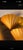 Gold Lustre Ceramic Scallop Shell Up-Light Wall Sconces, 1970s, Set of 2 For Sale - Image 6 of 11
