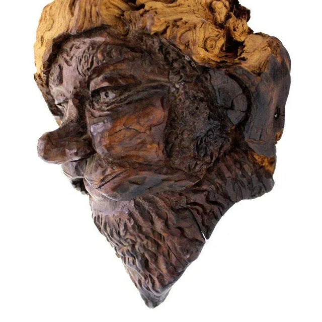 Wood Early 20th Century Detailed Burl Wood Carving of an Elf or Gnome Face Sculture For Sale - Image 7 of 10