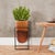 Bronze Euler Vase with Black Iron Stand- Tall For Sale - Image 10 of 11