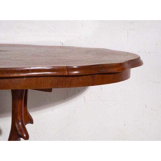 Brown Salon Table in Walnut, Central Europe, 1880 For Sale - Image 8 of 11