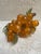 Vintage Mid-Century Gold Italian Large Lucite Grape Cluster For Sale - Image 4 of 6