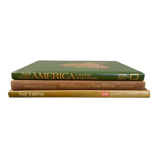 Set of 3 Vintage Mid 20th Century Earthy Books For Sale