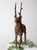 Cabin Vintage Wicker Reindeer Sculpture For Sale - Image 3 of 11