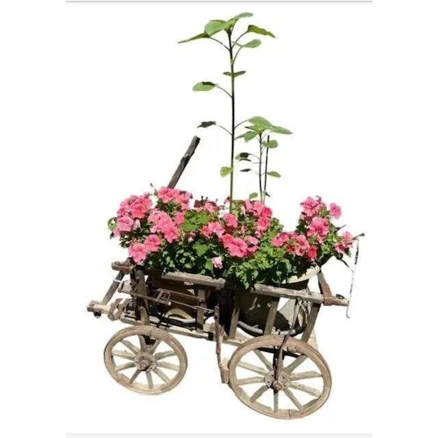 Gray Antique European Goat Cart For Sale - Image 8 of 8