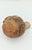 Brown Anthropomorphic Terracotta Vase from the Ancient Pre-Columbian Cultures of the Andes For Sale - Image 8 of 15