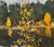 Boris Lavrenko, Black Lake Landscape with a Lake in the Middle of a Forest, 1978, Oil on Canvas For Sale - Image 6 of 7