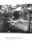 "Creative Gardens" 1958 Rose, James C. For Sale - Image 4 of 12