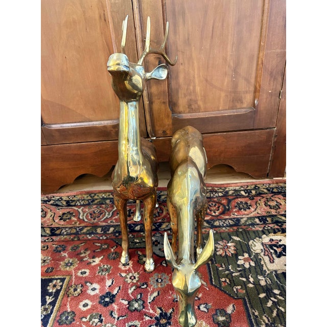 Mid 20th Century Mid 20th Century Large Polished Brass Deer Statues - A Pair For Sale - Image 5 of 11