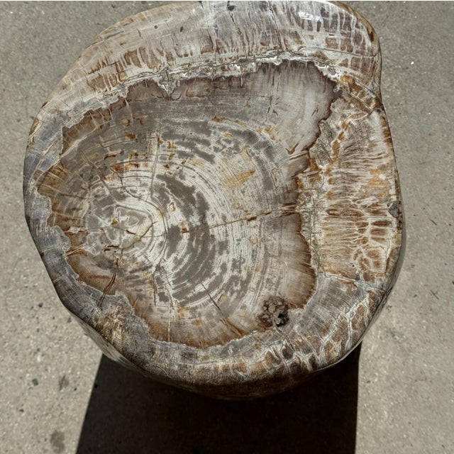Large Side Table in White and Grey Petrified Wood For Sale - Image 16 of 18