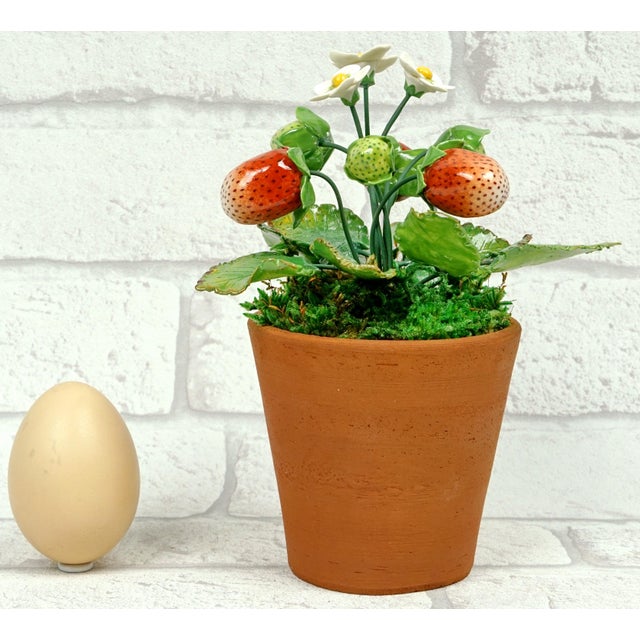 Porcelain Strawberry Plants by Didier Gardillou - Contemporain Period For Sale - Image 10 of 10