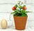 Porcelain Strawberry Plants by Didier Gardillou - Contemporain Period For Sale - Image 10 of 10