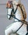 French Decorative Horse in Moleskin with Saddle and Harness, 20th Century For Sale - Image 11 of 12