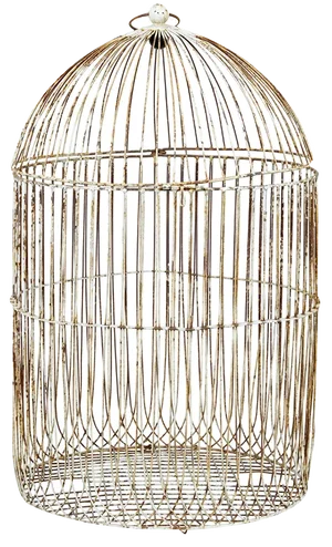 Large 19th Century Wire Frame Decorative Bird Cage, 1890