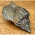Metal Vintage Patinated Brass Conch Shell For Sale - Image 7 of 12