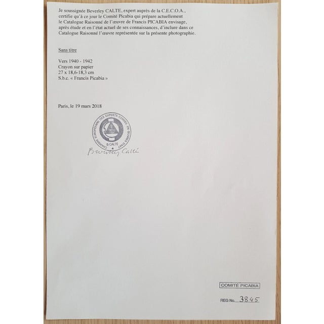 Picabia Francis - Woman Portrait - Pencil Drawing - 1940 - c.o.A For Sale - Image 11 of 12